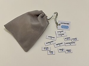 *Add-On* Word Kit: Antonyms (100 Words)