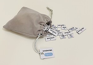 *Add-On* Word Kit: Synonyms (100 Words)